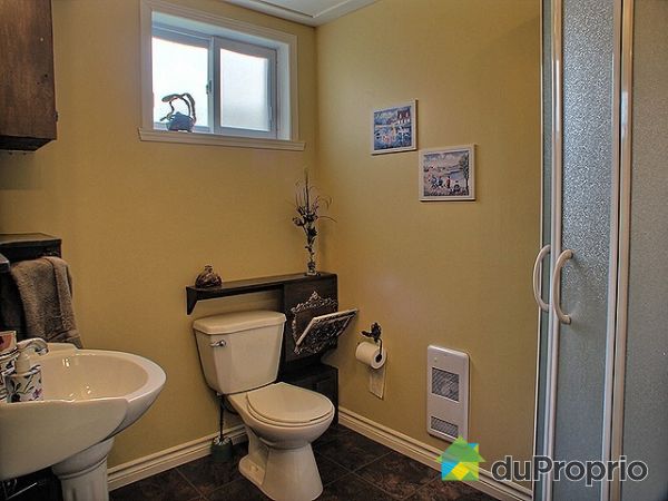 Basement Bathroom