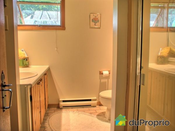Basement Bathroom