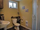 Basement Bathroom