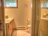Basement Bathroom