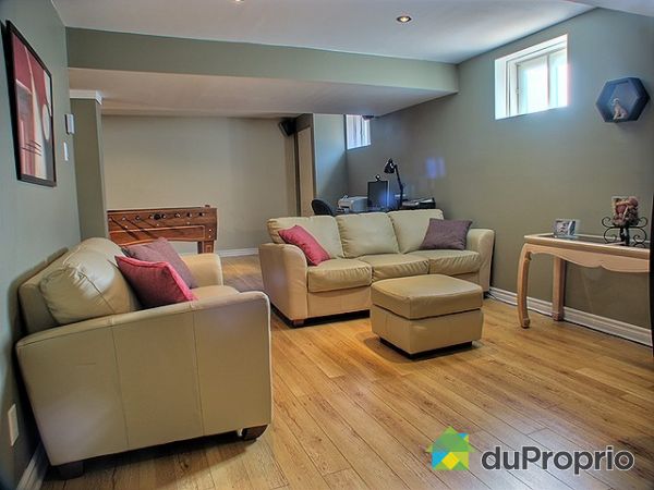 Basement Living Room