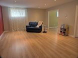 Basement Living Room