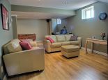 Basement Living Room