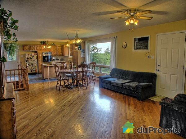Living / Dining Room