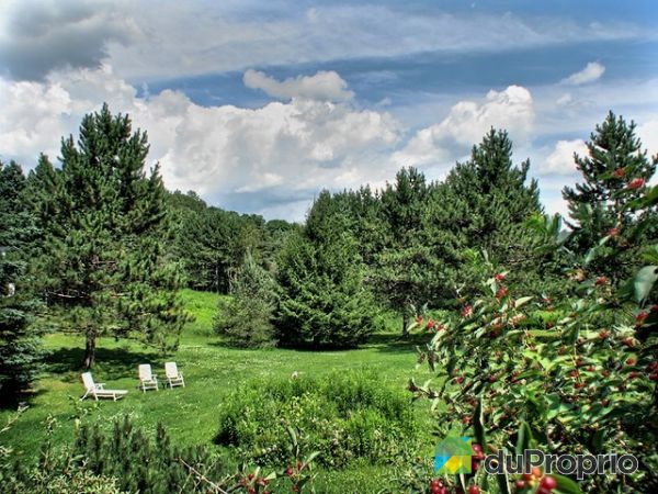 Panoramic View - Gentle slope