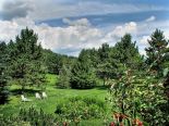 Panoramic View