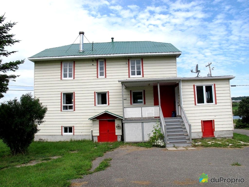 Maison vendu StMathieuDeRioux, immobilier Québec DuProprio 334078
