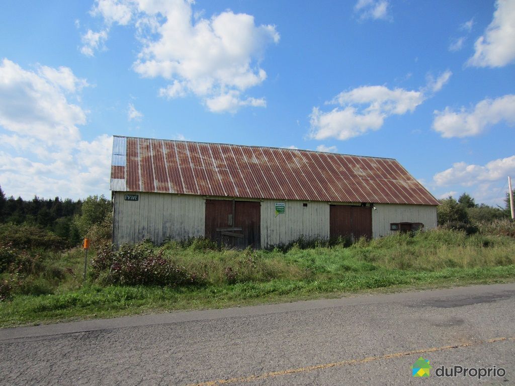 Terre agricole à vendre Causapscal, 226, rang FerdinandHeppell Sud