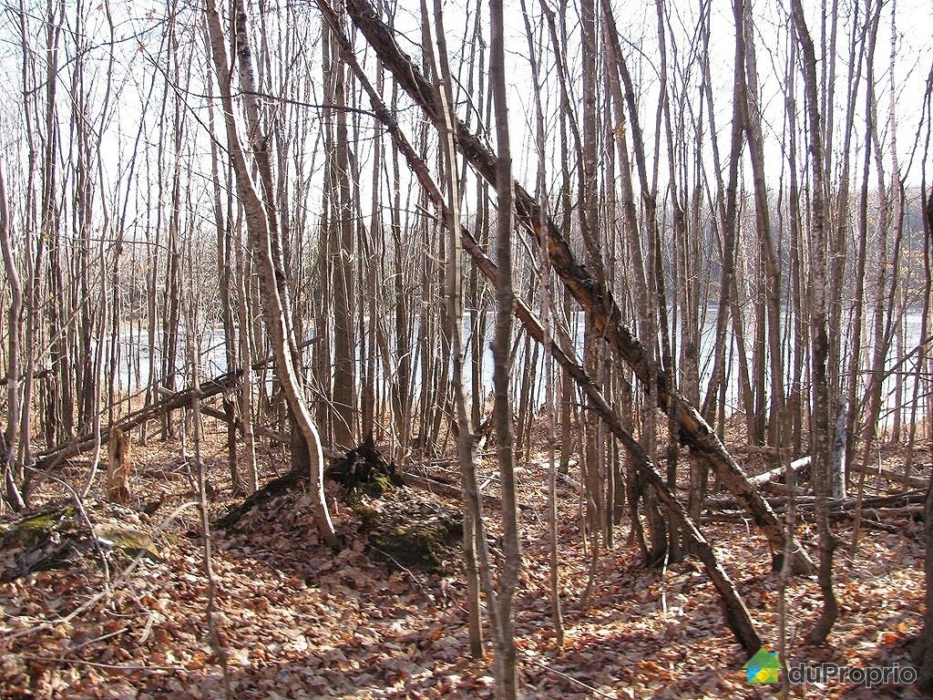 Terre à bois vendu StCalixte, immobilier Québec DuProprio 387109 Terre à bois vendu StCalixte, immobilier Québec DuProprio 387109