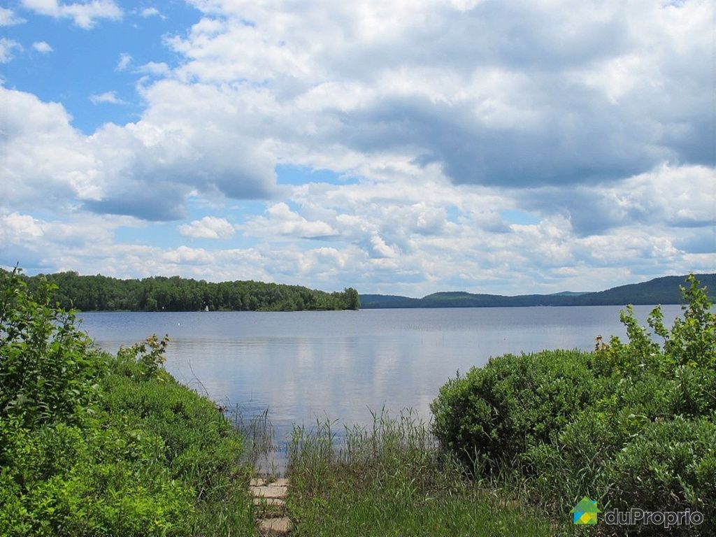 Chalet à vendre Nominingue, 152 rue des Carouges, immobilier Québec
