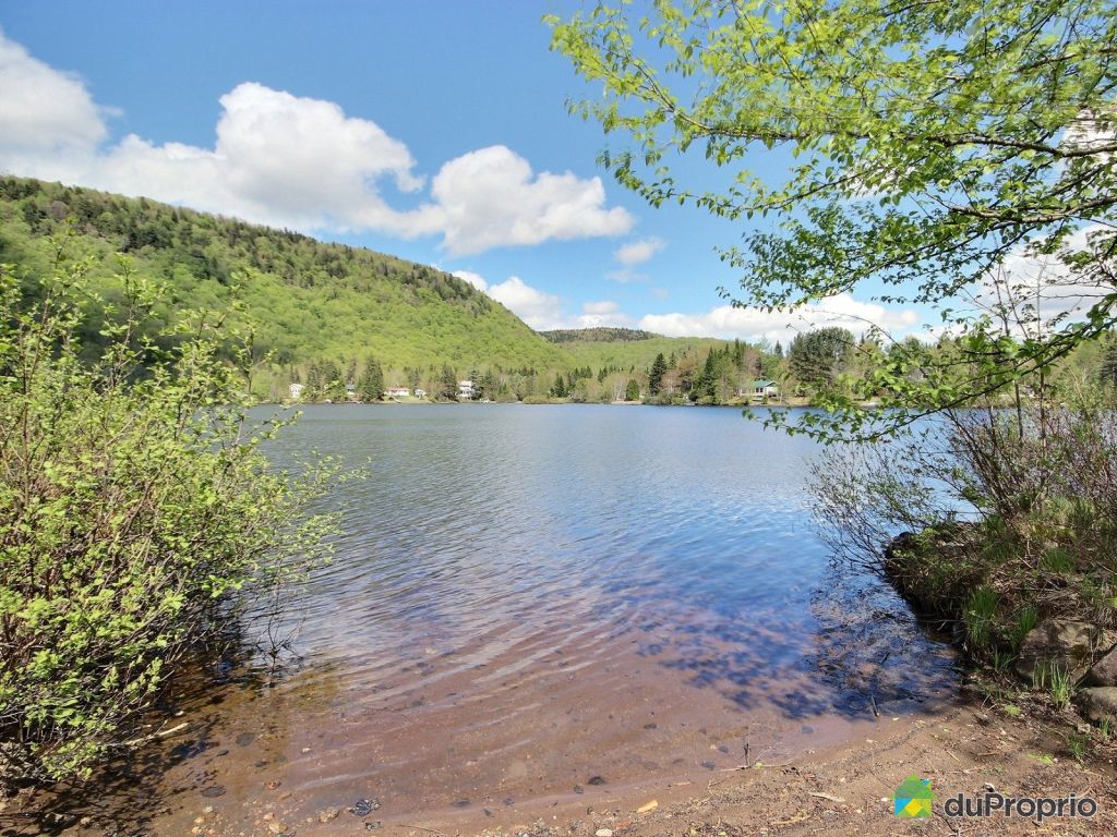 Chalet à vendre StLeonardDePortneuf, 139, chemin Lac Pont de Pierre