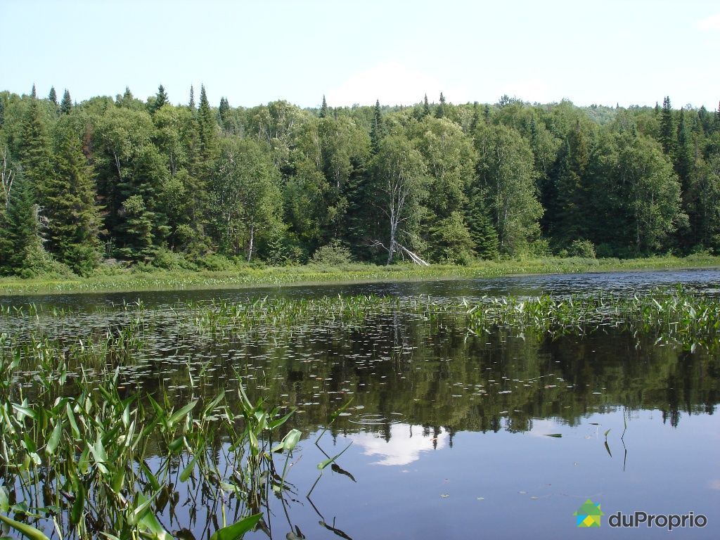 Terrain résidentiel vendu StDonat, immobilier Québec DuProprio 509281