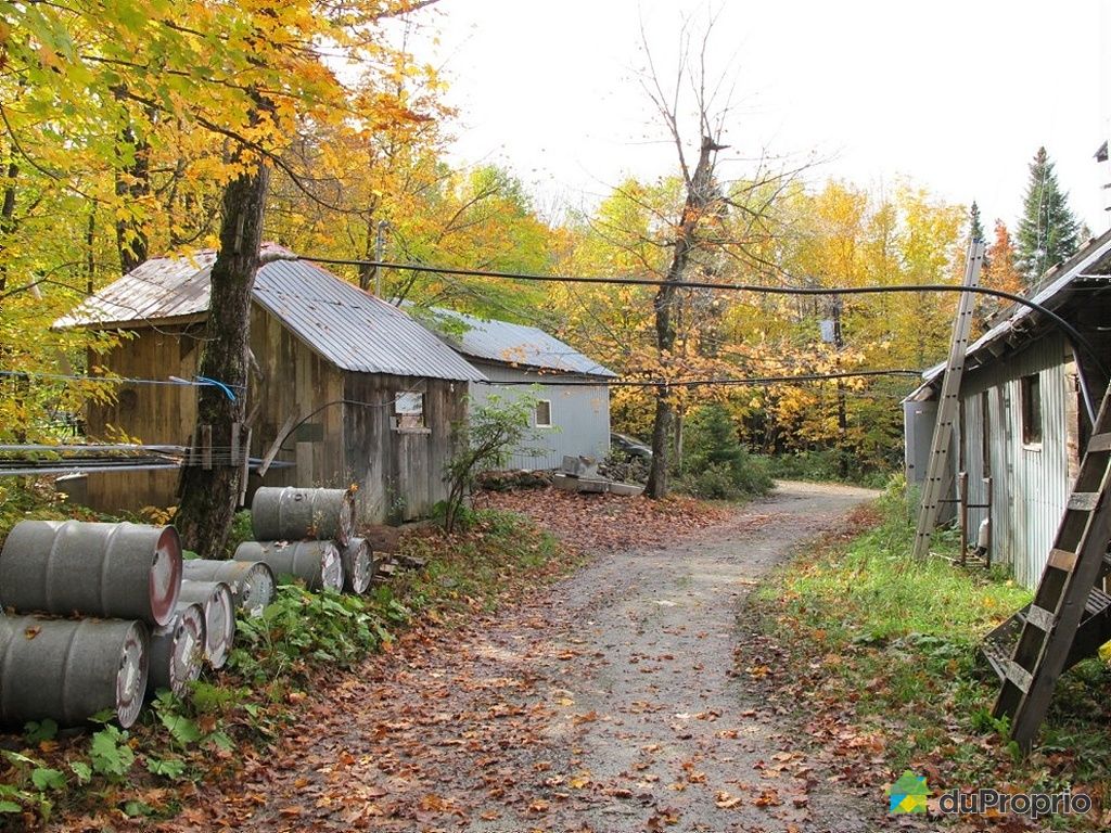 Erablière vendu Kinnear's Mills, immobilier Québec DuProprio 284480