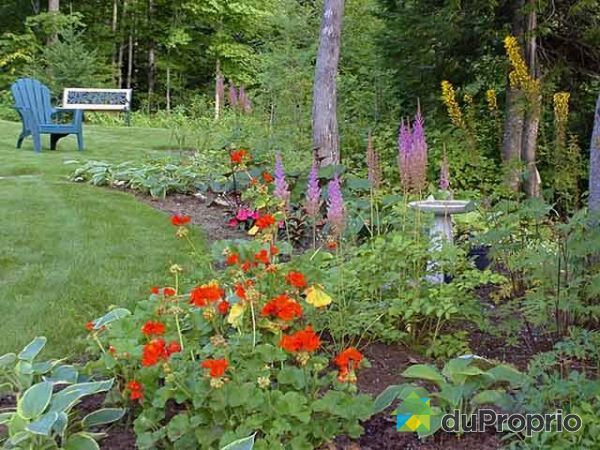 Jardin
