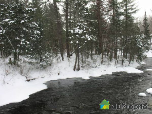 Terrain