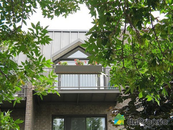 Condo