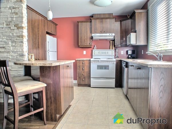 Cuisine - Belle  grande cuisine fonctionnelle  avec plusieurs panneaux d'armoire.