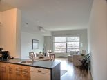 Dining Room / Living Room