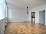Living / Dining Room