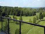 Panoramic View