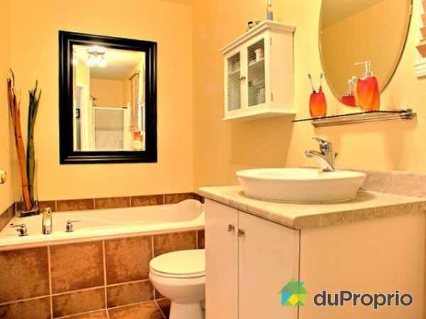 Salle de bain - Pour voir la douche regarder dans le miroir .