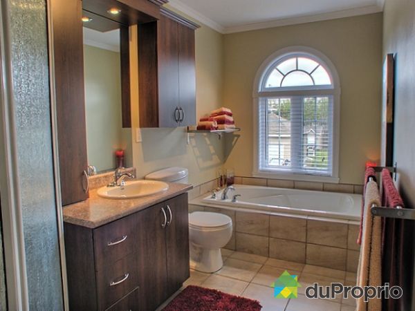 Salle de bain - Bain podium et douche ind&eacute;pendante.