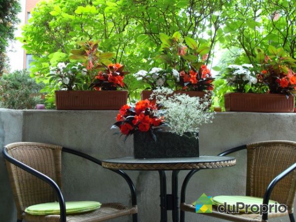 Terrasse