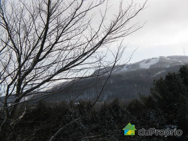 Vue sur montagnes