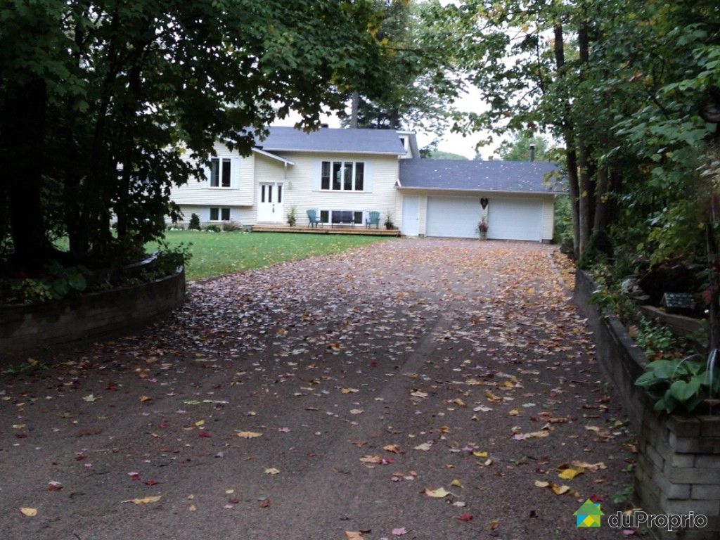 Chalet for sale in Otter Lake, 127 chemin Hughes DuProprio 396582