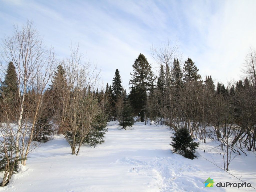Chalet vendu LacEtchemin, immobilier Québec DuProprio 479542