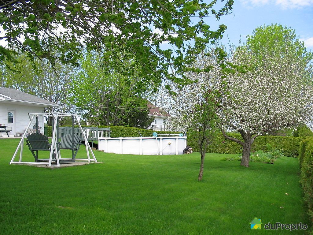 Maison vendu StThéodore d'Acton, immobilier Québec DuProprio 484443
