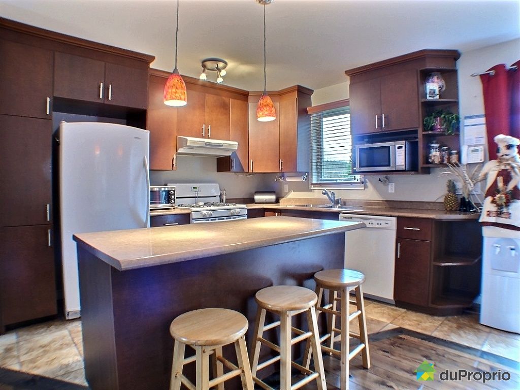 Maison à vendre Amherst, 1184, chemin Rockway Valley, immobilier Québec DuProprio 373649