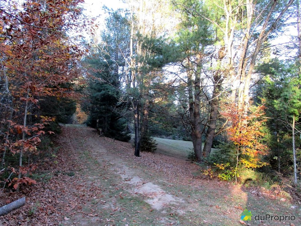 Chalet à vendre Harrington, 34, chemin des Érables, immobilier Québec