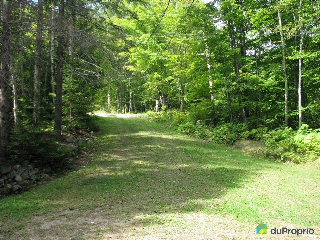 Maison à vendre Aumond, 21, chemin du Lac Quinn, immobilier Québec