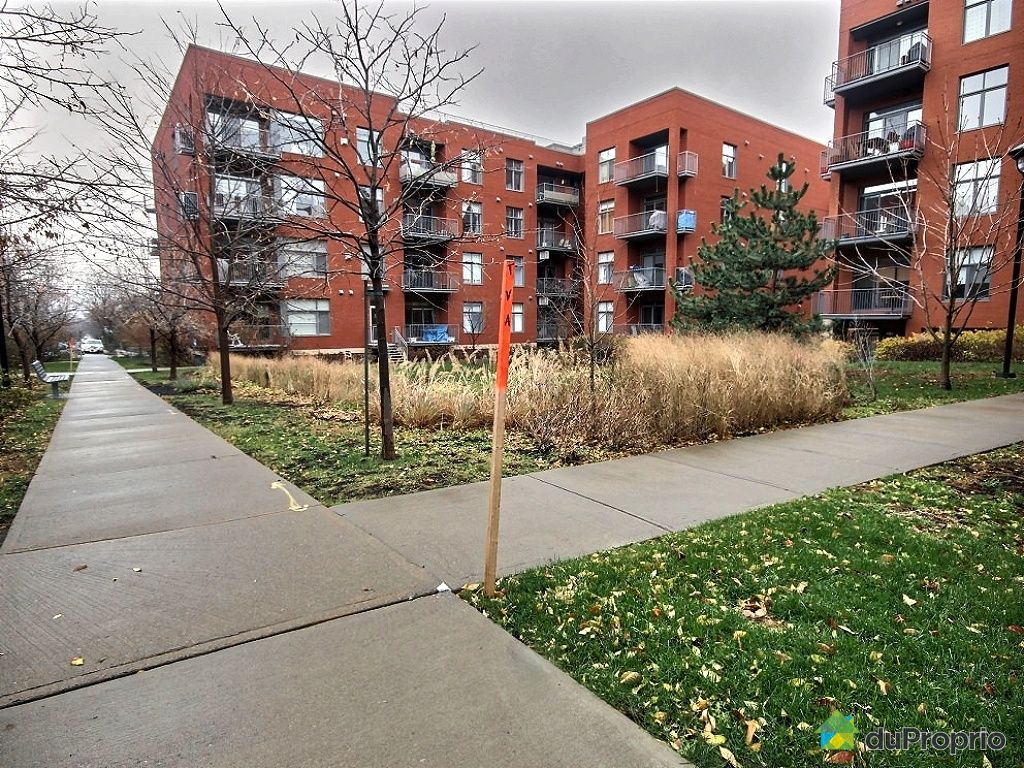 environment condo for sale plateau mont royal quebec province en large 3324428