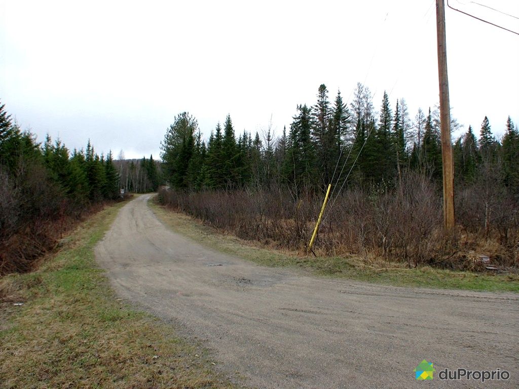 Terre à bois vendu StRaymond, immobilier Québec DuProprio 252588 Terre à bois vendu StRaymond, immobilier Québec DuProprio 252588