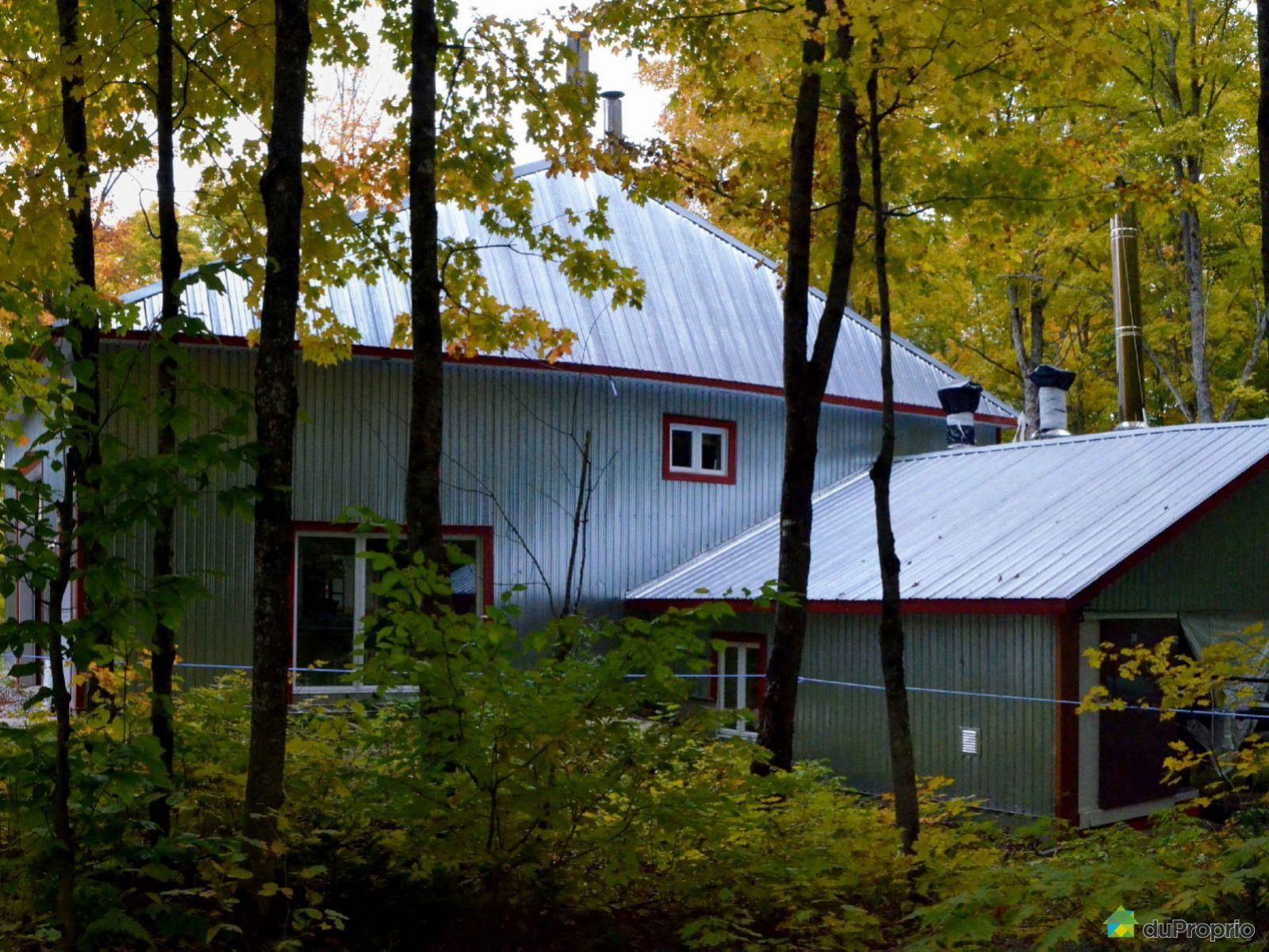 Erablière à vendre SteSabineDeBellechasse, 124 rang SainteMarie
