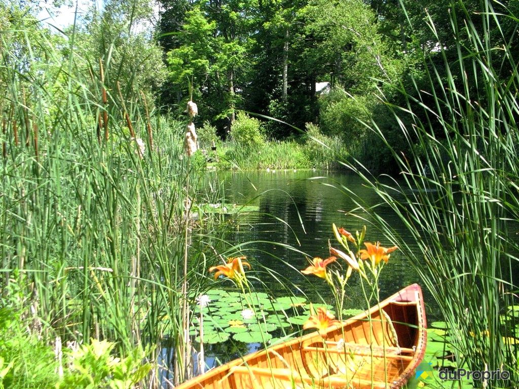 Maison à vendre Knowlton, 214 rue Lakeside, immobilier Québec