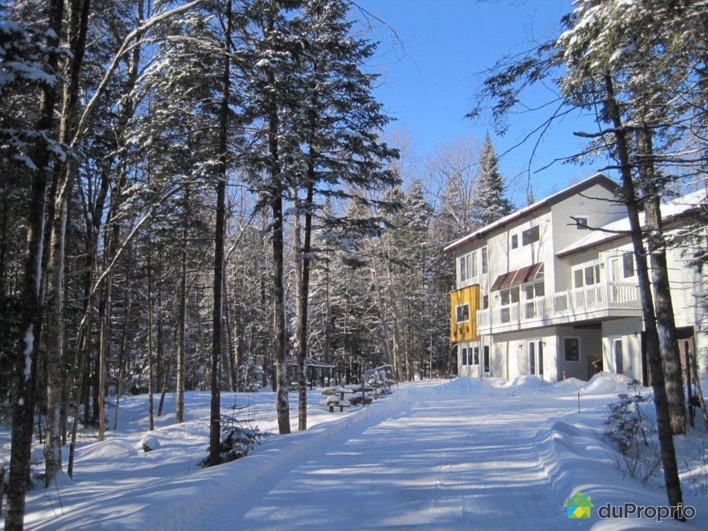 Maison à vendre Eastman, 35, chemin des Bécassines, immobilier Québec