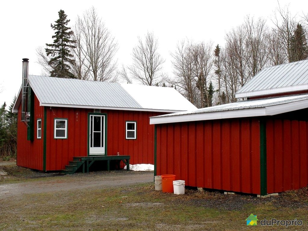 Chalet à vendre StReneDeMatane, 107 rang 14e, immobilier Québec