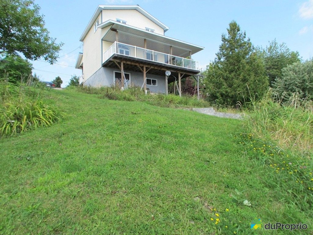 Maison à vendre Plaisance, 1760, rue Grande Presqu'île, immobilier