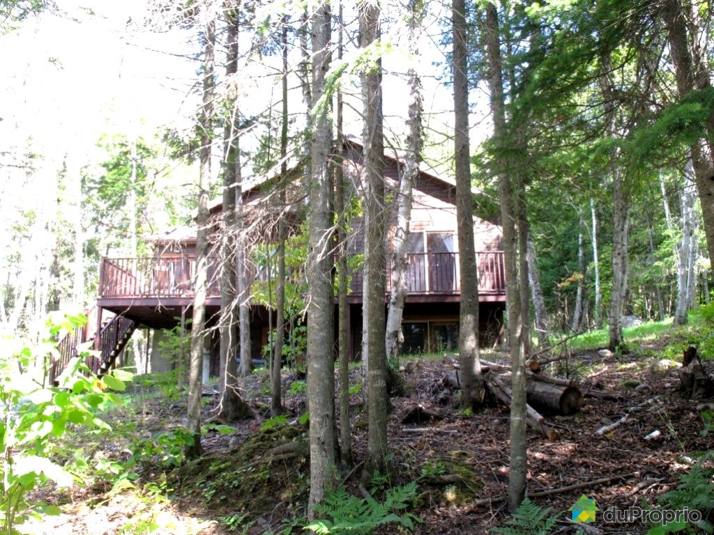 Bungalow Surélevé à vendre Pohénégamook, 1672 chemin Guérette