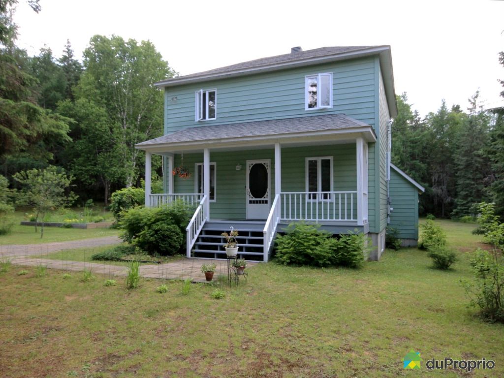 Maison à vendre StFaustinLacCarré, 180, rue des Mélèzes, immobilier