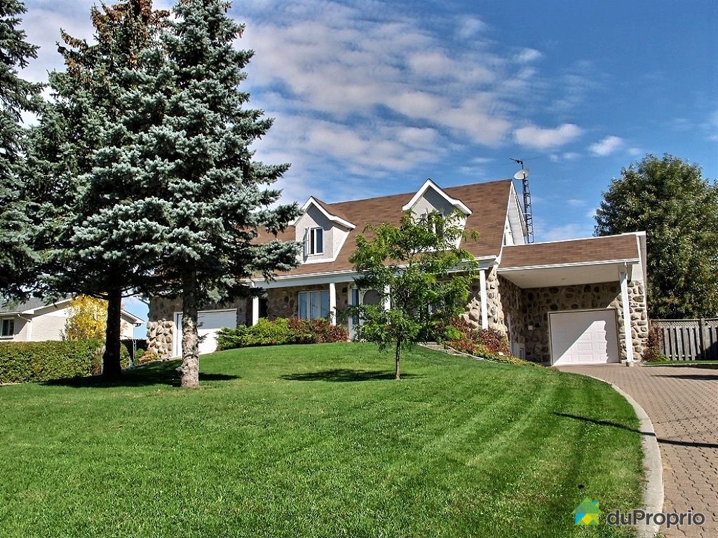 Maison à vendre StHyacinthe, 16830 rang Grand SaintFrançois