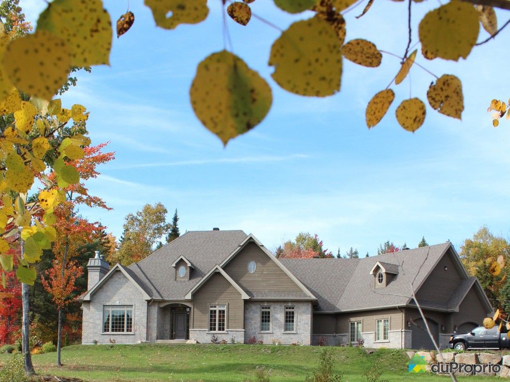 Maison à vendre StSauveur, 4 chemin des Cascades, immobilier Québec