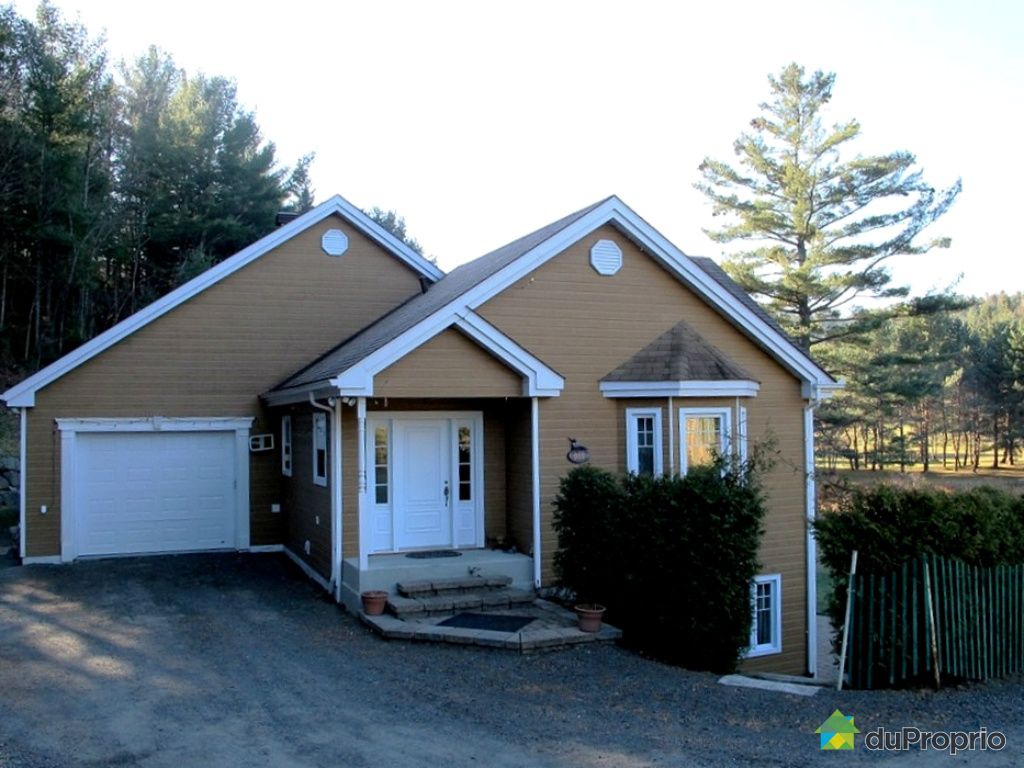 Maison à vendre SteAdèle, 910 rue des Pins, immobilier Québec