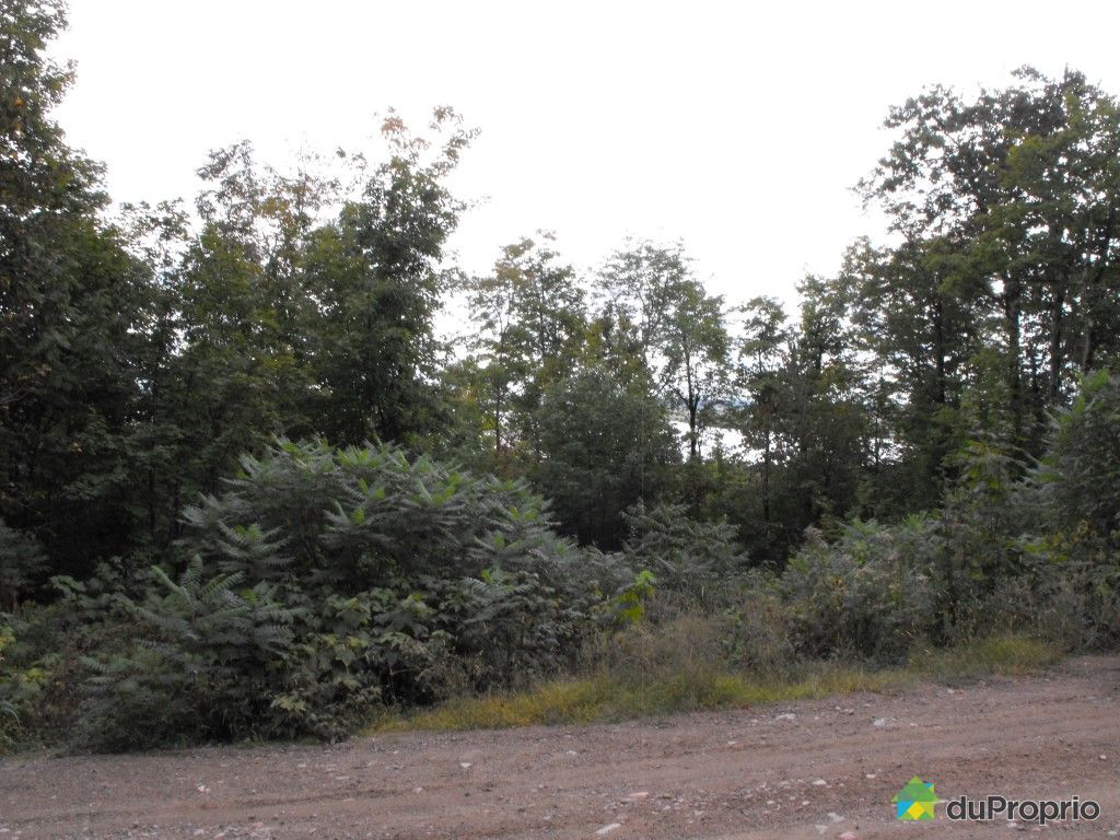 Terrain résidentiel vendu GrenvillesurlaRouge, immobilier Québec