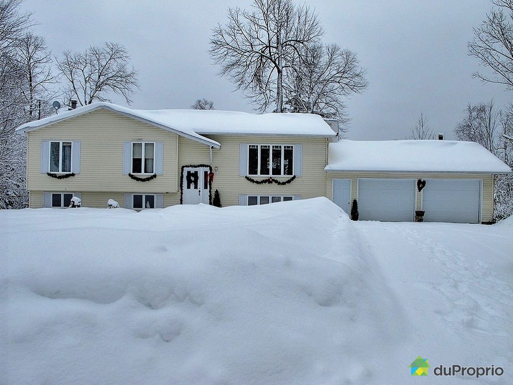 Chalet for sale in Otter Lake, 127, chemin Hughes DuProprio 396582