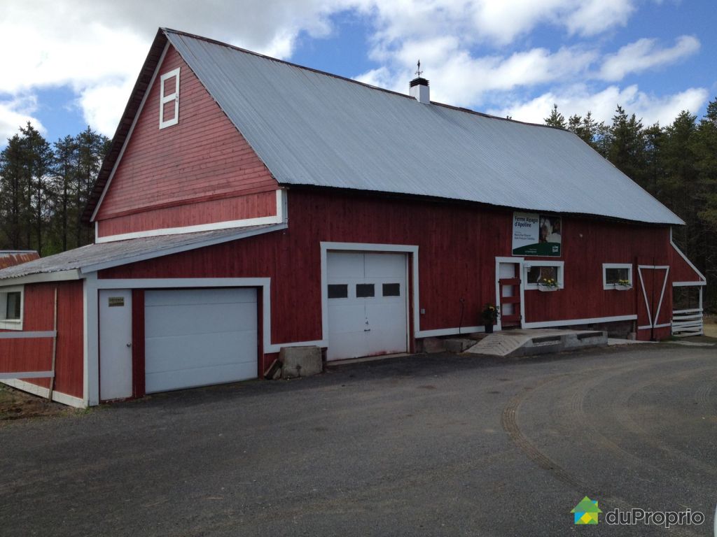 Fermette vendu StApollinaire, immobilier Québec DuProprio 484786