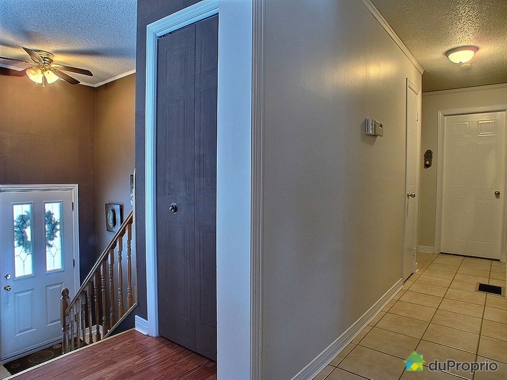 Chalet for sale in Otter Lake, 127 chemin Hughes DuProprio 396582